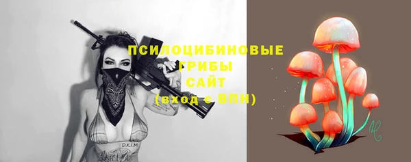 героин Алексин