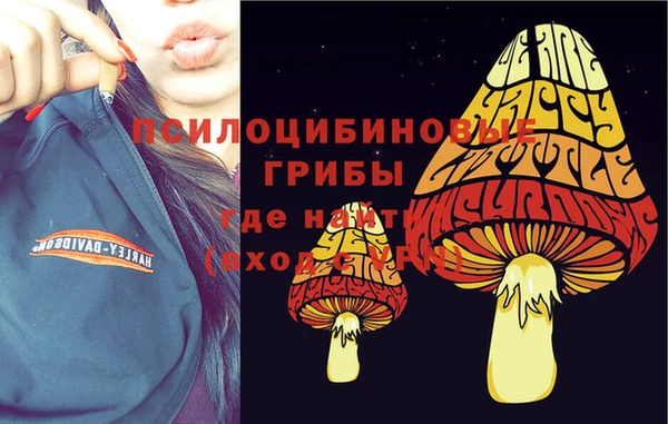 соль ск Алексеевка