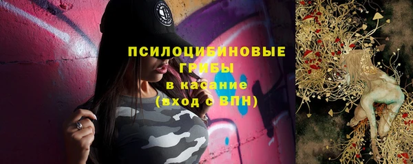 героин Алексин