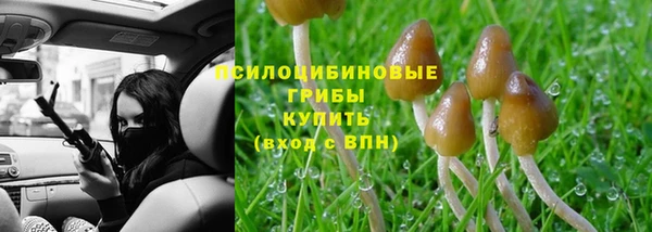 героин Алексин