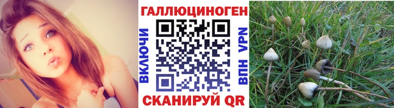Псилоцибиновые грибы Cubensis  Коряжма 