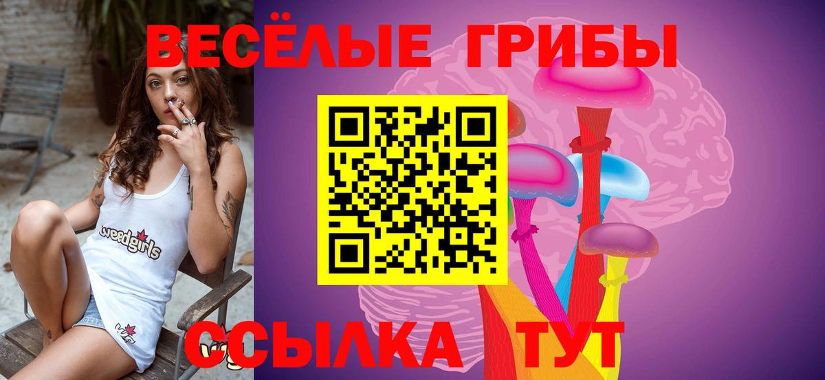 Коряжма  Галлюциногенные грибы мицелий  Галлюциногенные грибы Psilocybine cubensis  Вход с VPN 